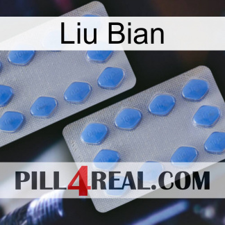 Liu Bian 20